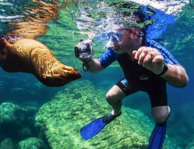 Snorkeling con un lobo marino juguetón.