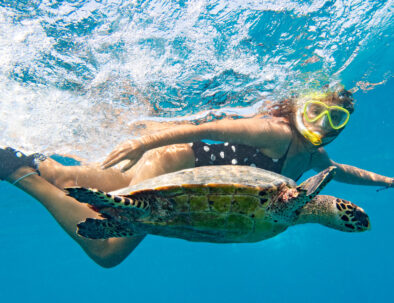Snorkeling,With,A,Sea,Turtle.,Girl,Swimming,With,A,Mask