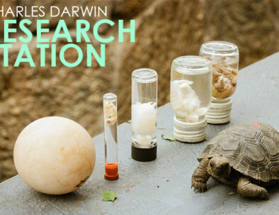 Galapagos-Charles-Darwin-Research-Station