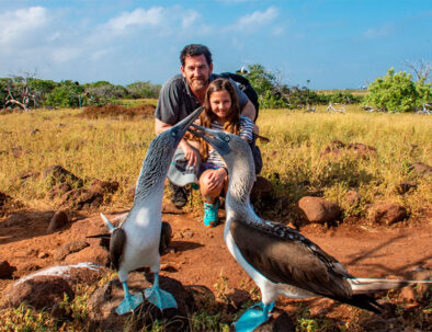 father-daughter-blue-footed-boobies-galapagos