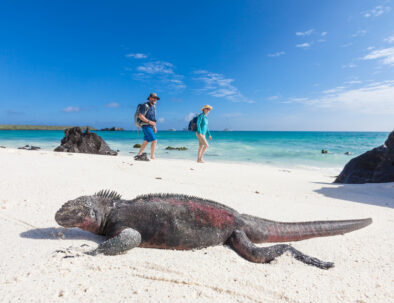 galapagos-islands-photography-tour