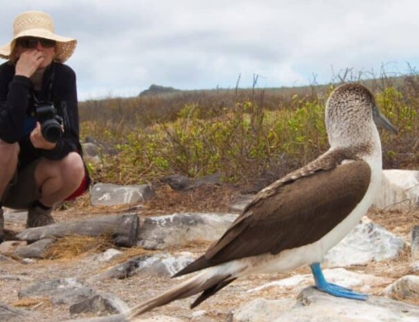 Galapagos-PRO-Galapagos-Insel-Nord-Seymour-bietet-Tierbeobachtung-hautnah-1030x542